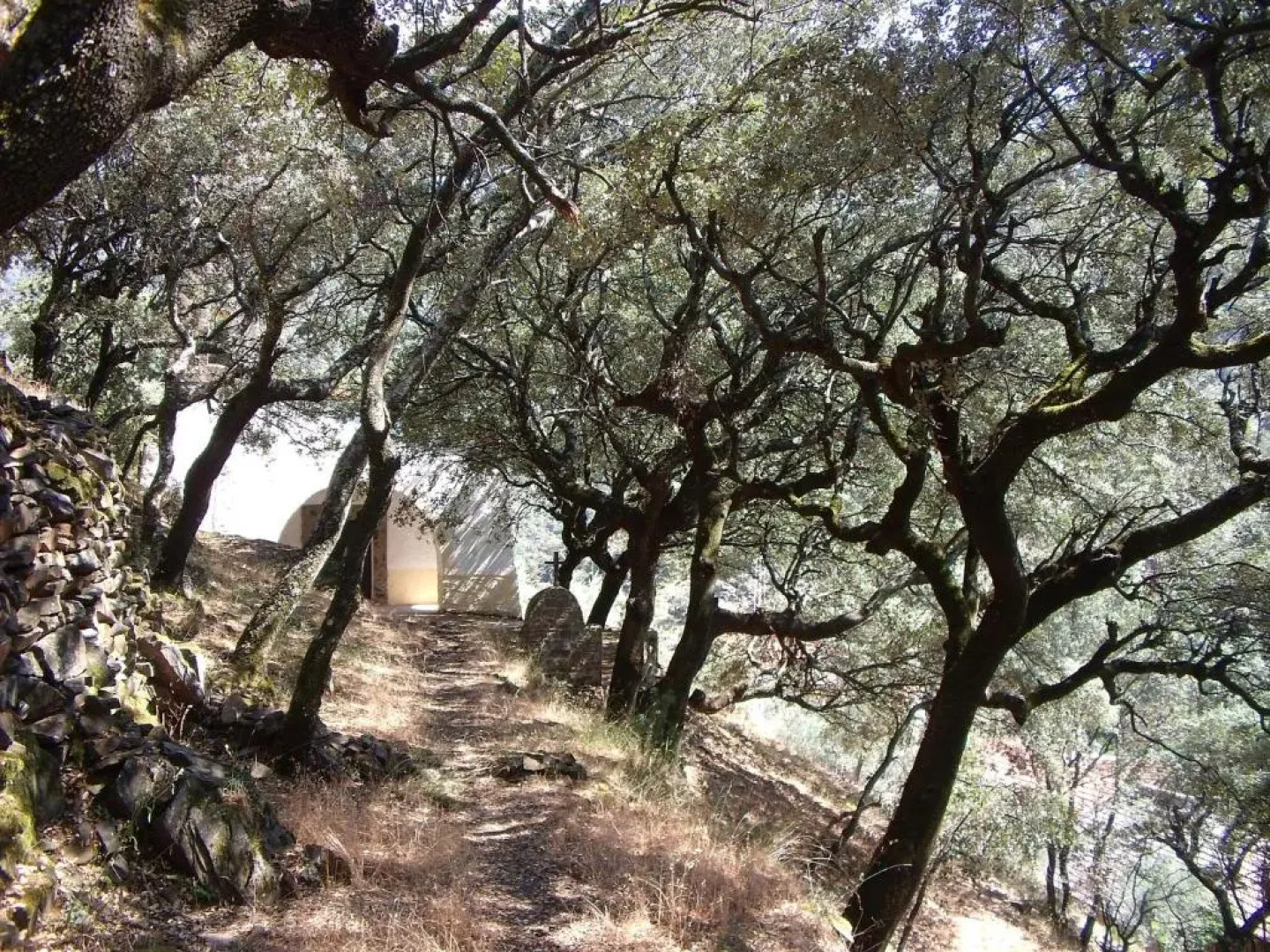 Las Casitas del Bodegon