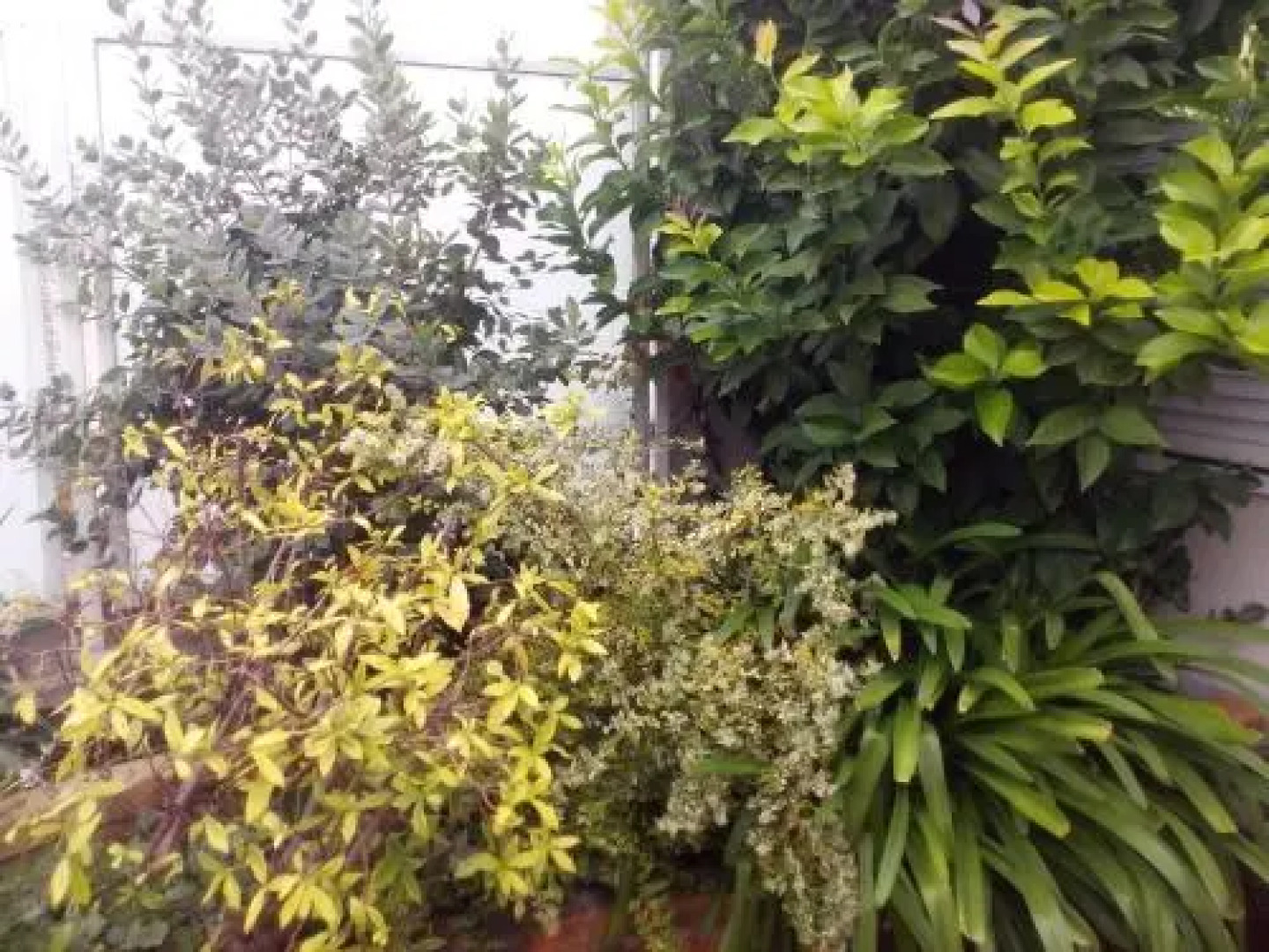 Chambres dhôtes Issy-Paris