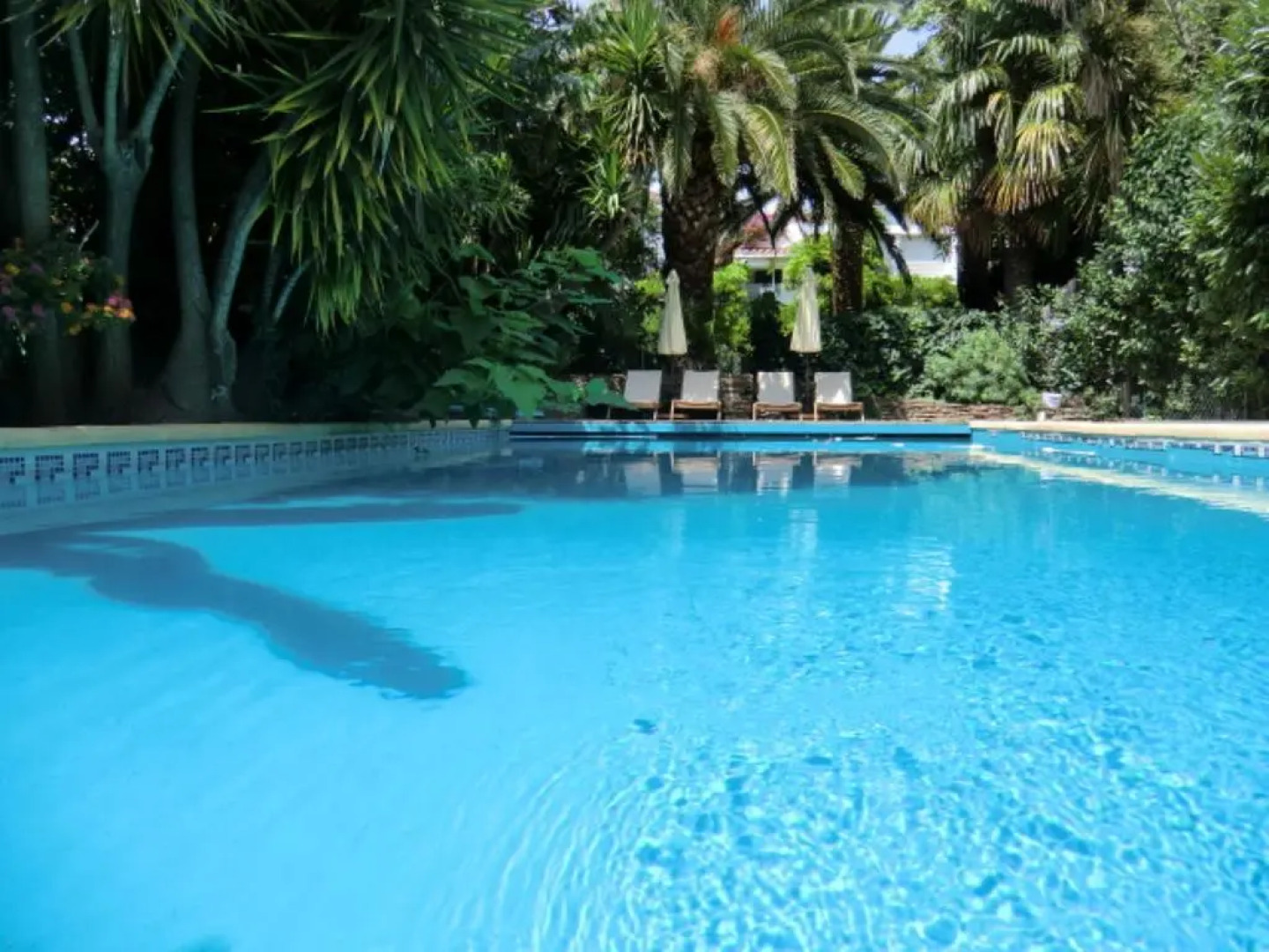 Domaine Saint Nicolas