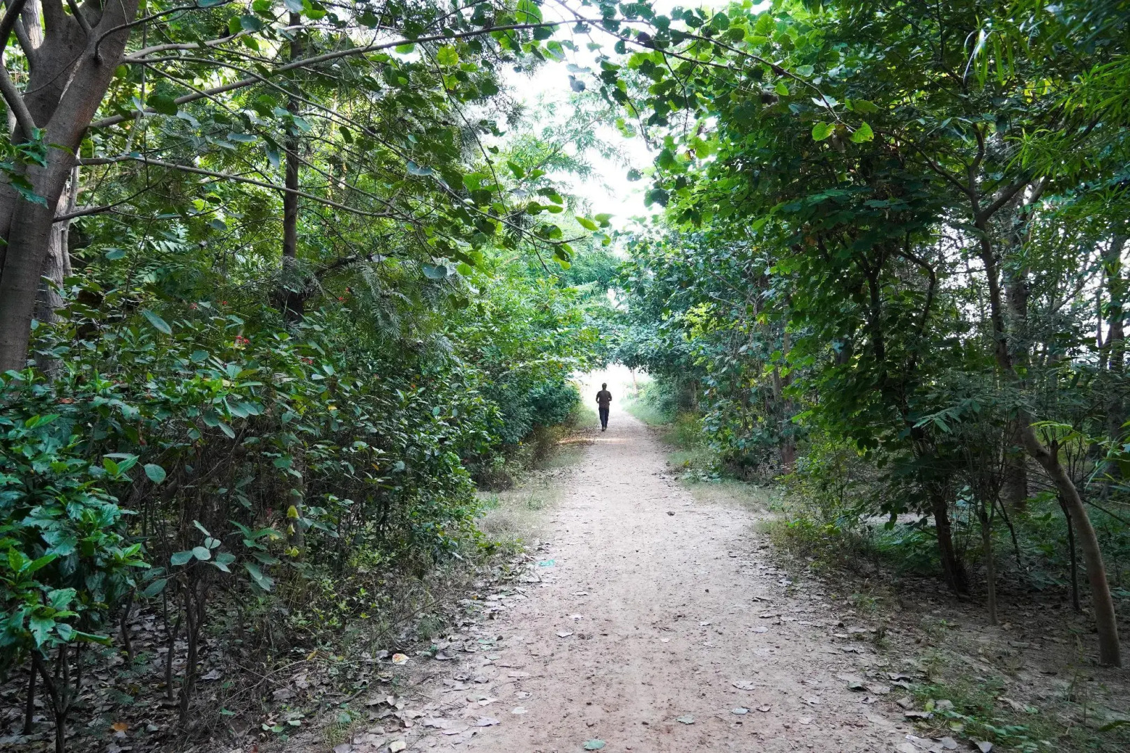 OYO Townhouse 27926 Sector 66 Noida