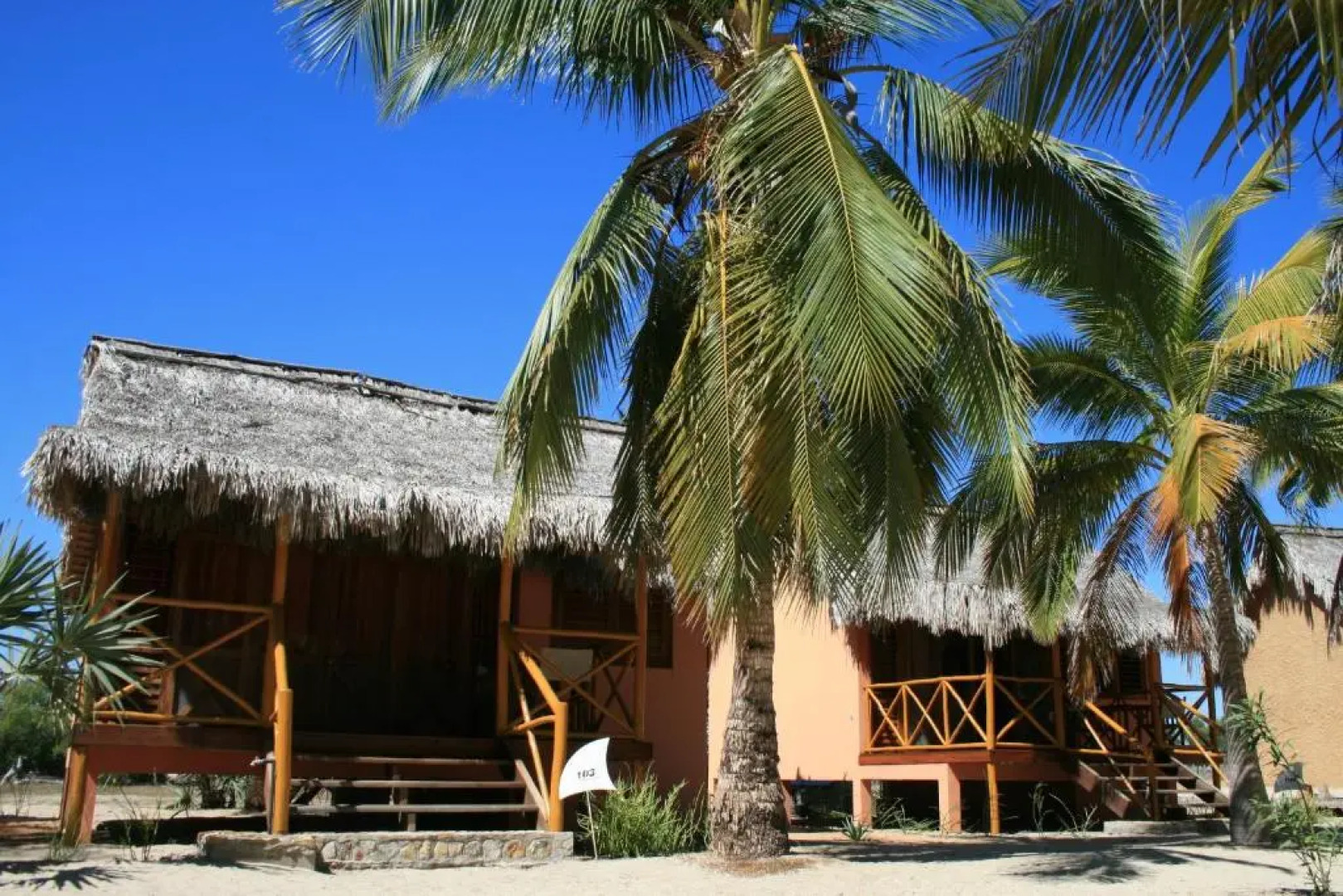 Palissandre Côte Ouest