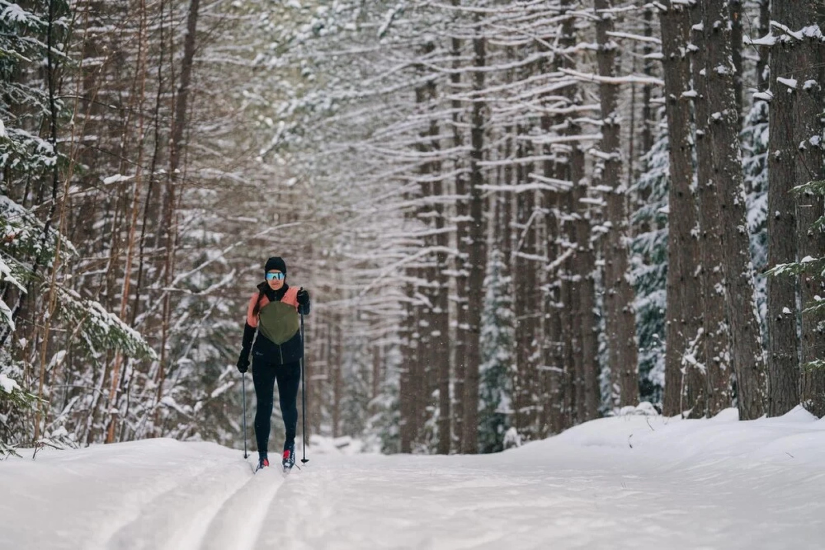 Spacious log Cottage Resort Access Citq 242255