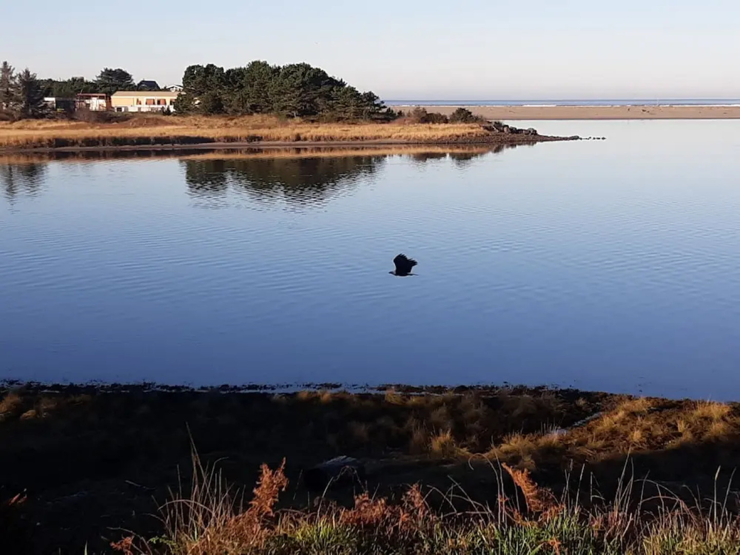 The Tradewinds Condo/Hotel