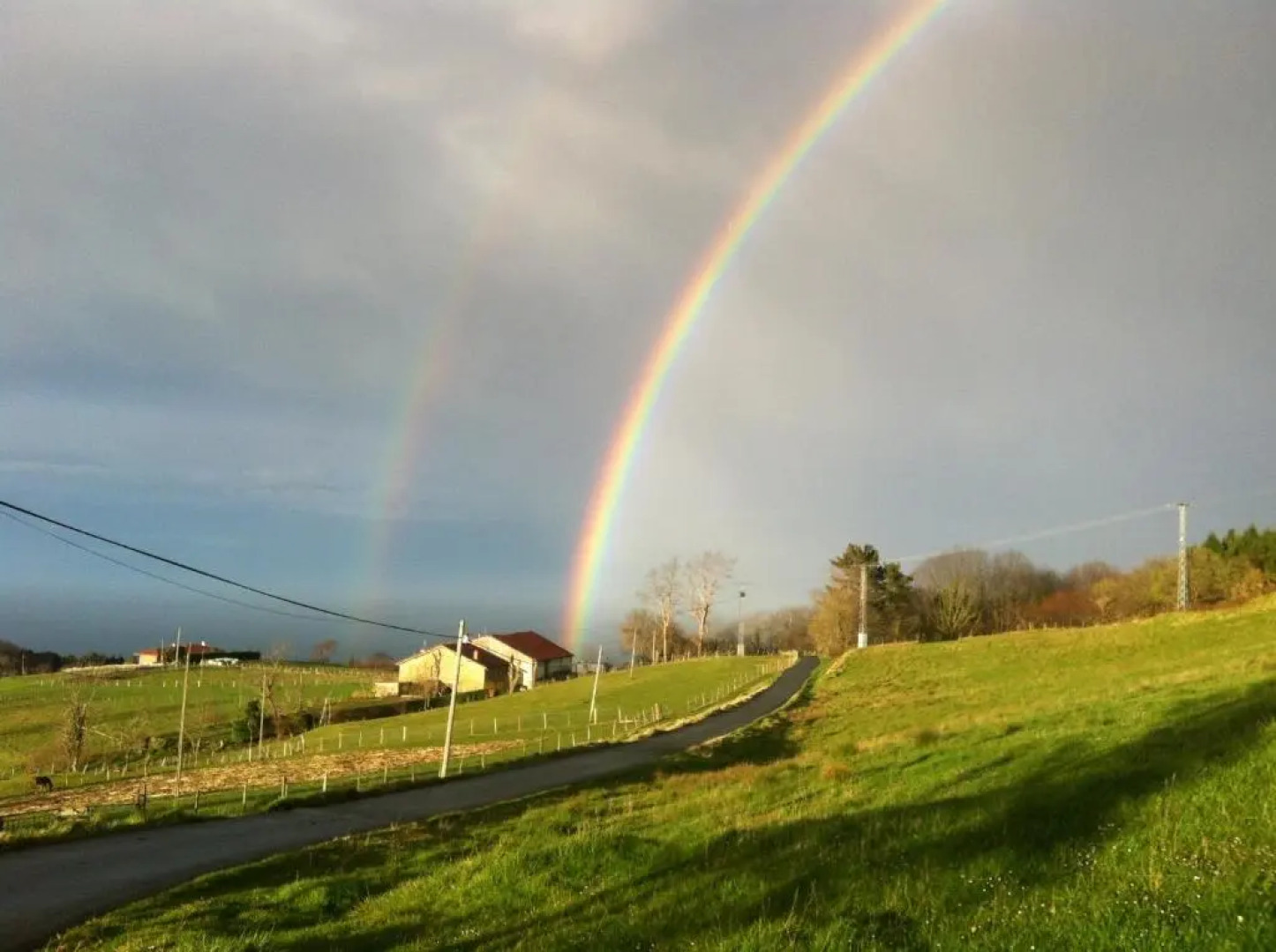Apartamentos Lusarbe