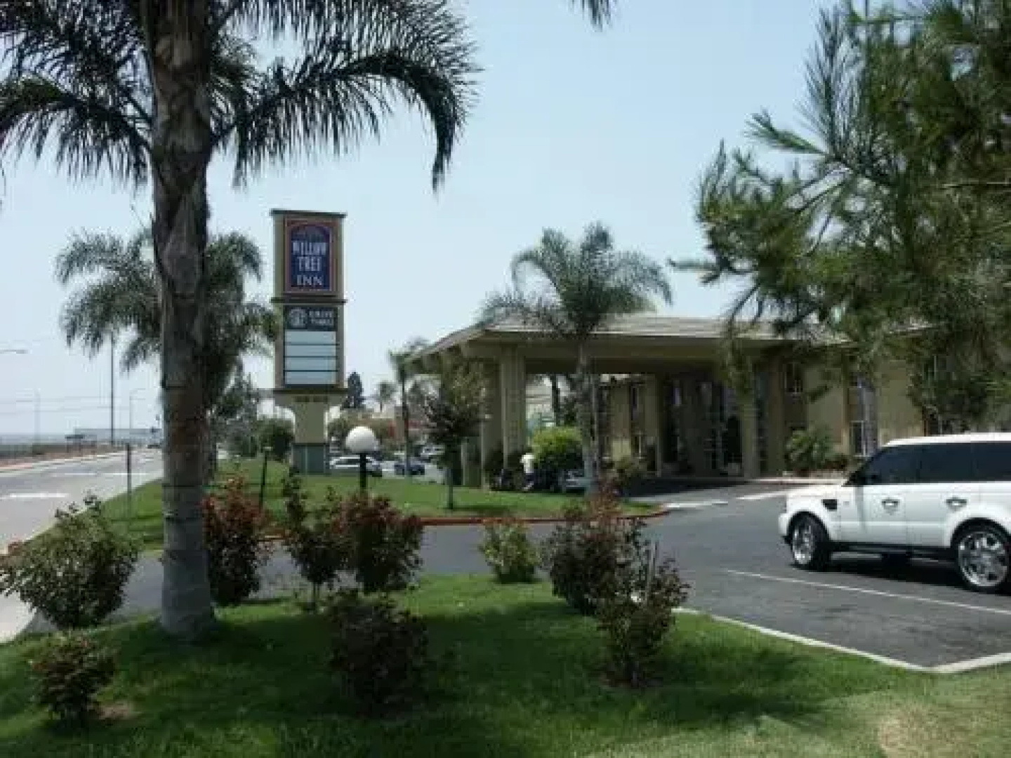 Willow Tree Inn