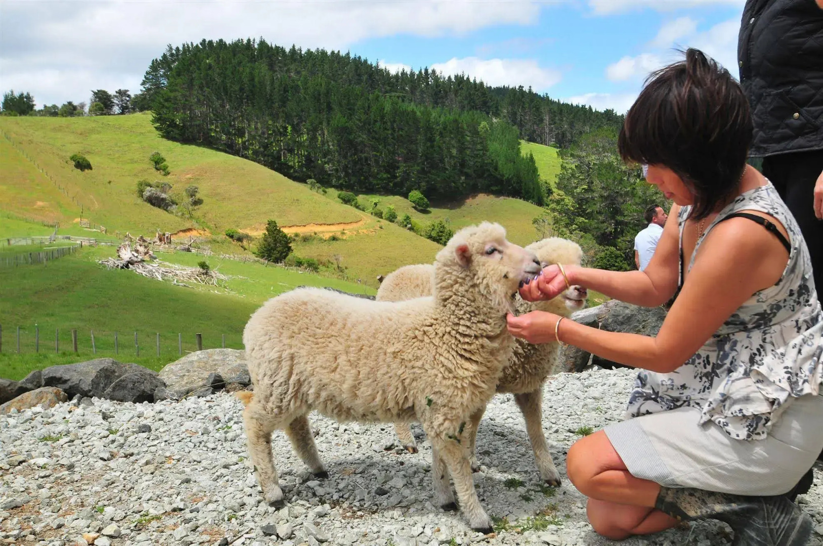 Wayby Country Retreat