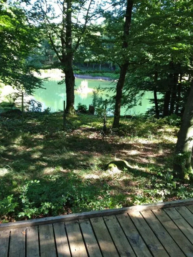 Farm Stay Happy Dogs Ranch