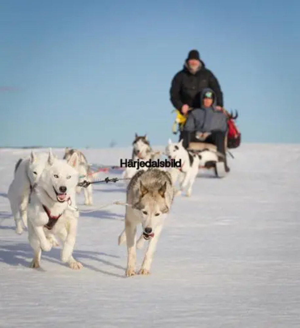 Skalshöjden Vemdalsskalet