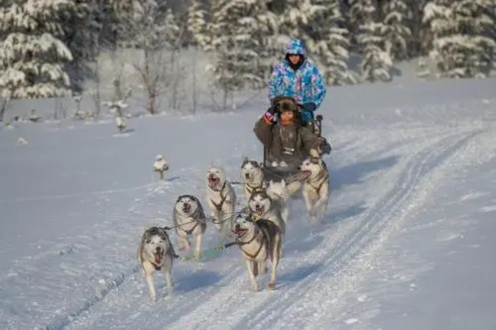 Сияние Севера