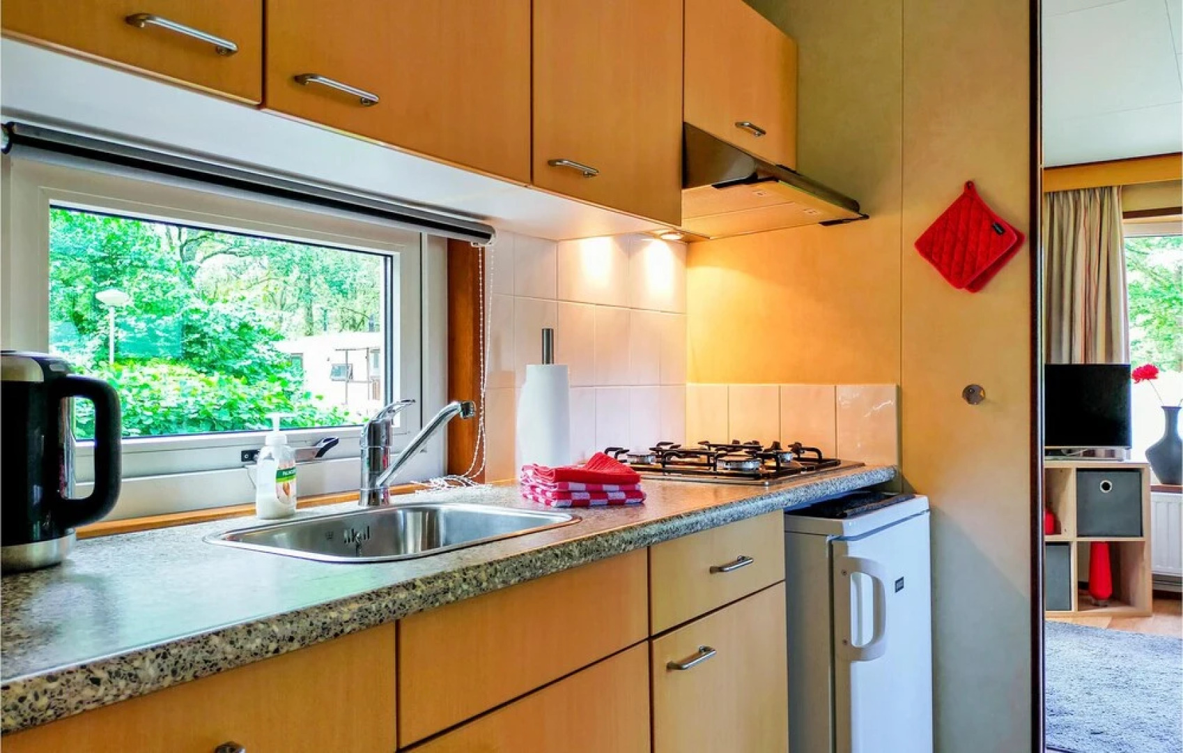 Nice Home in Schoonloo With 1 Bedrooms, Wifi and Outdoor Swimming Pool