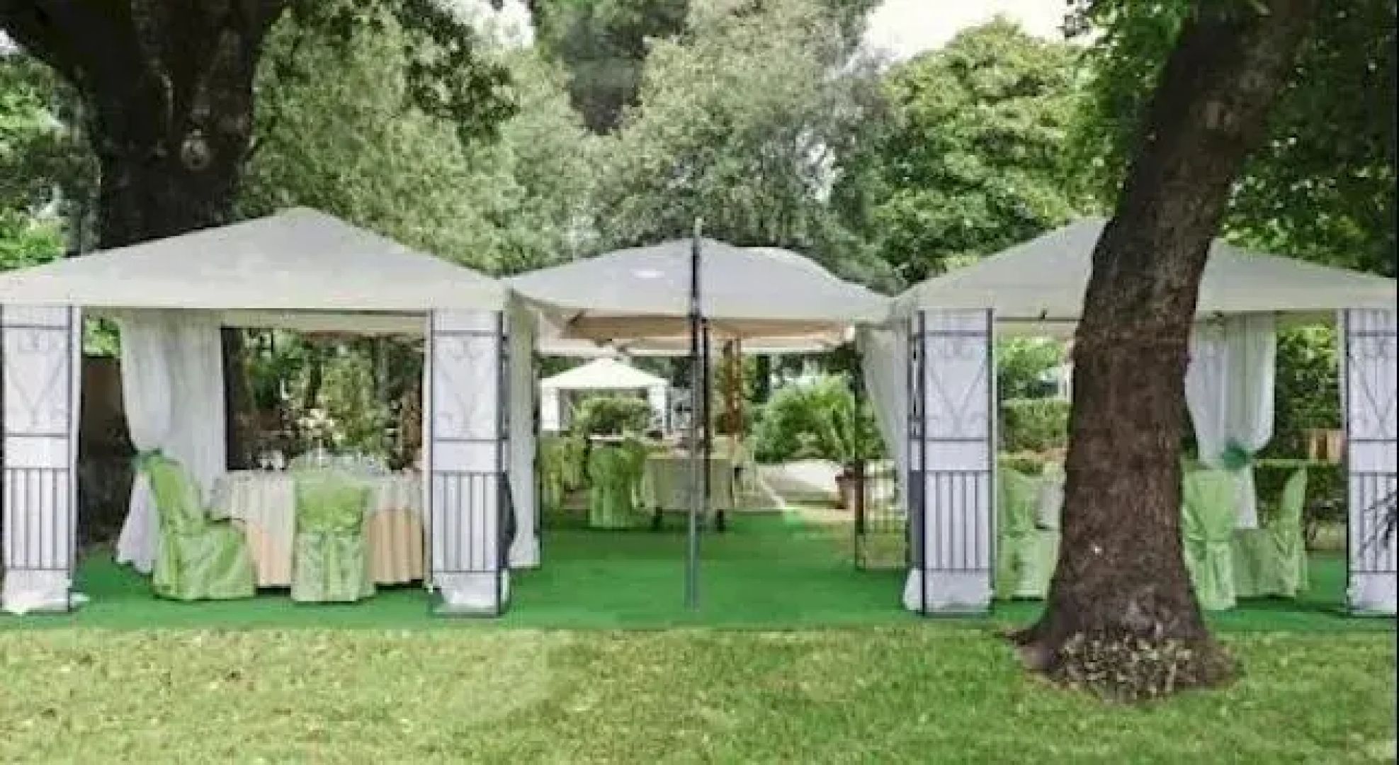 Park Hotel Cinquale