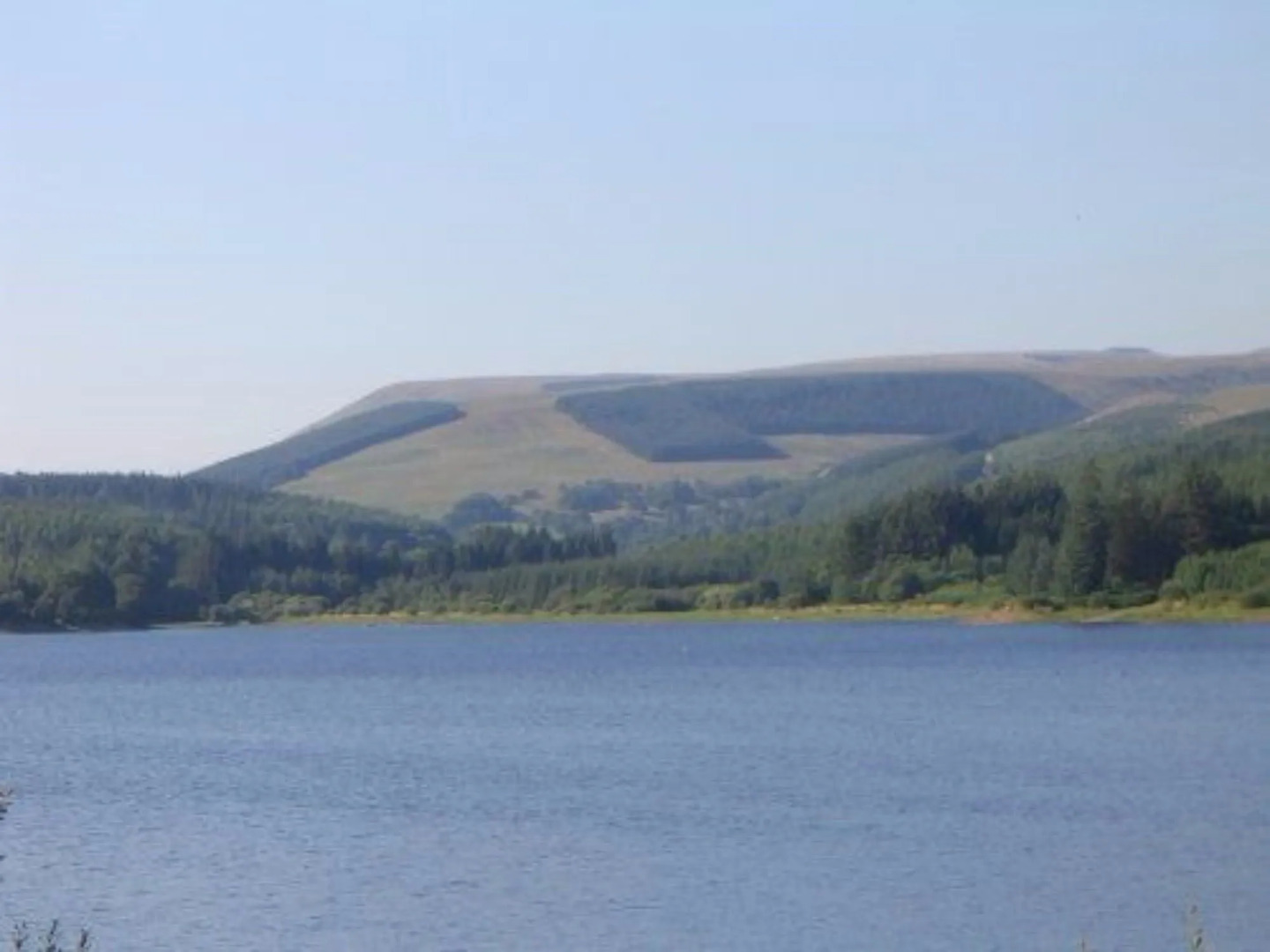 Llwyn Onn Guest House