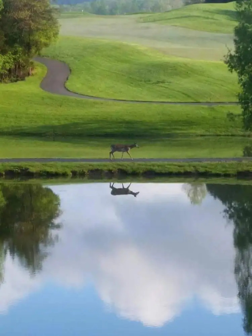 Woodlake Lodge Golf and Country Club