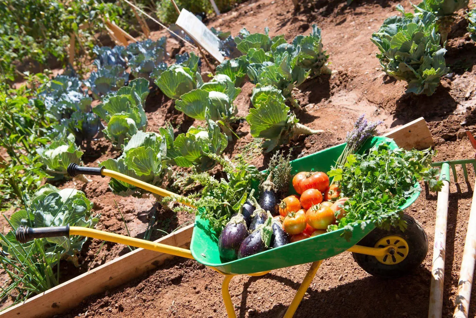 Club Jandía Princess - All Inclusive