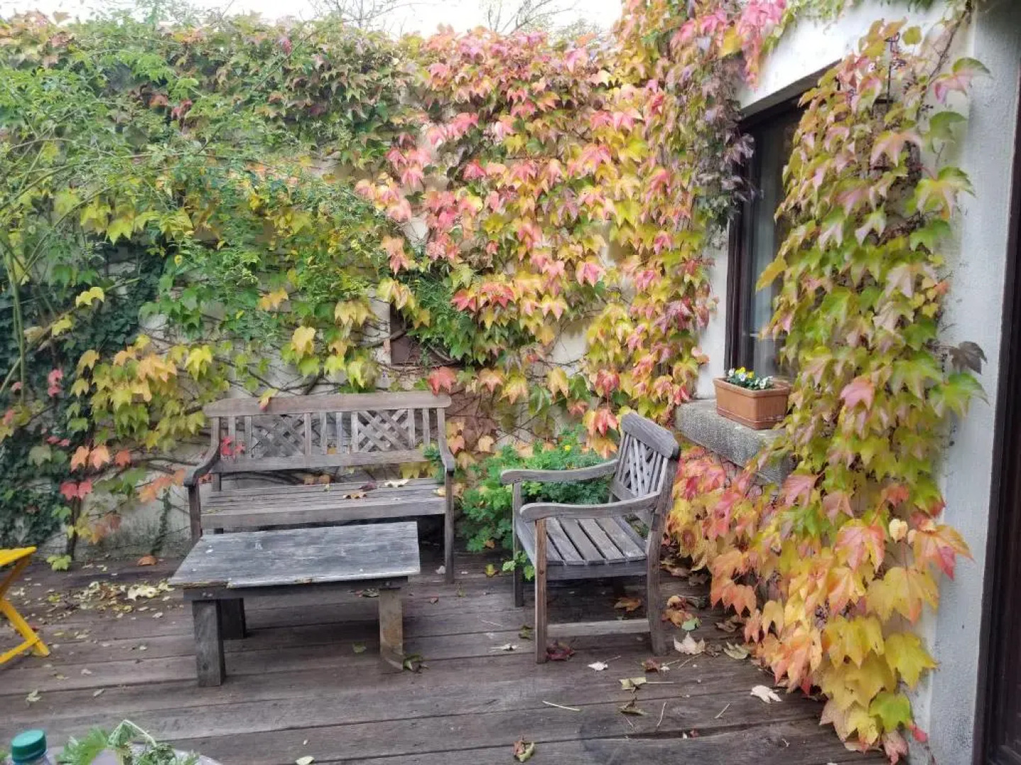 chambre d'hôtes de charme, un temps en forêt