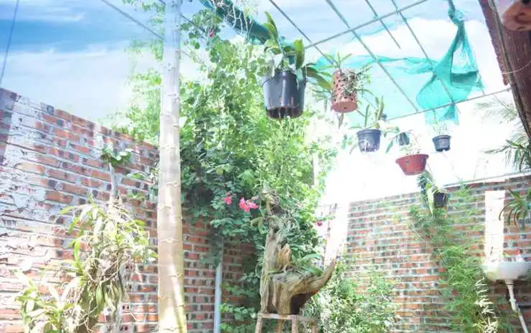 Van Long Family Homestay