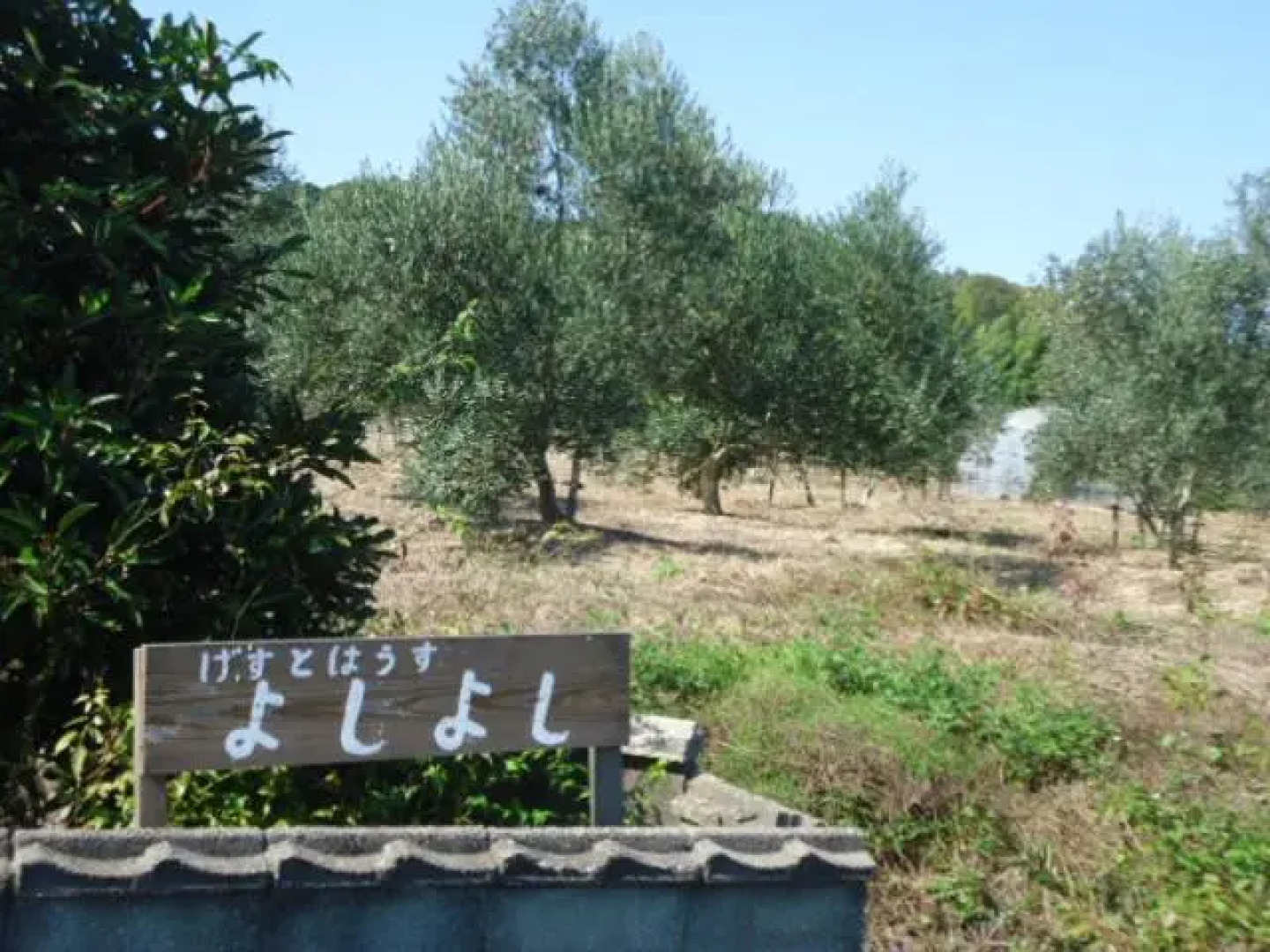 Guesthouse Yoshiyoshi