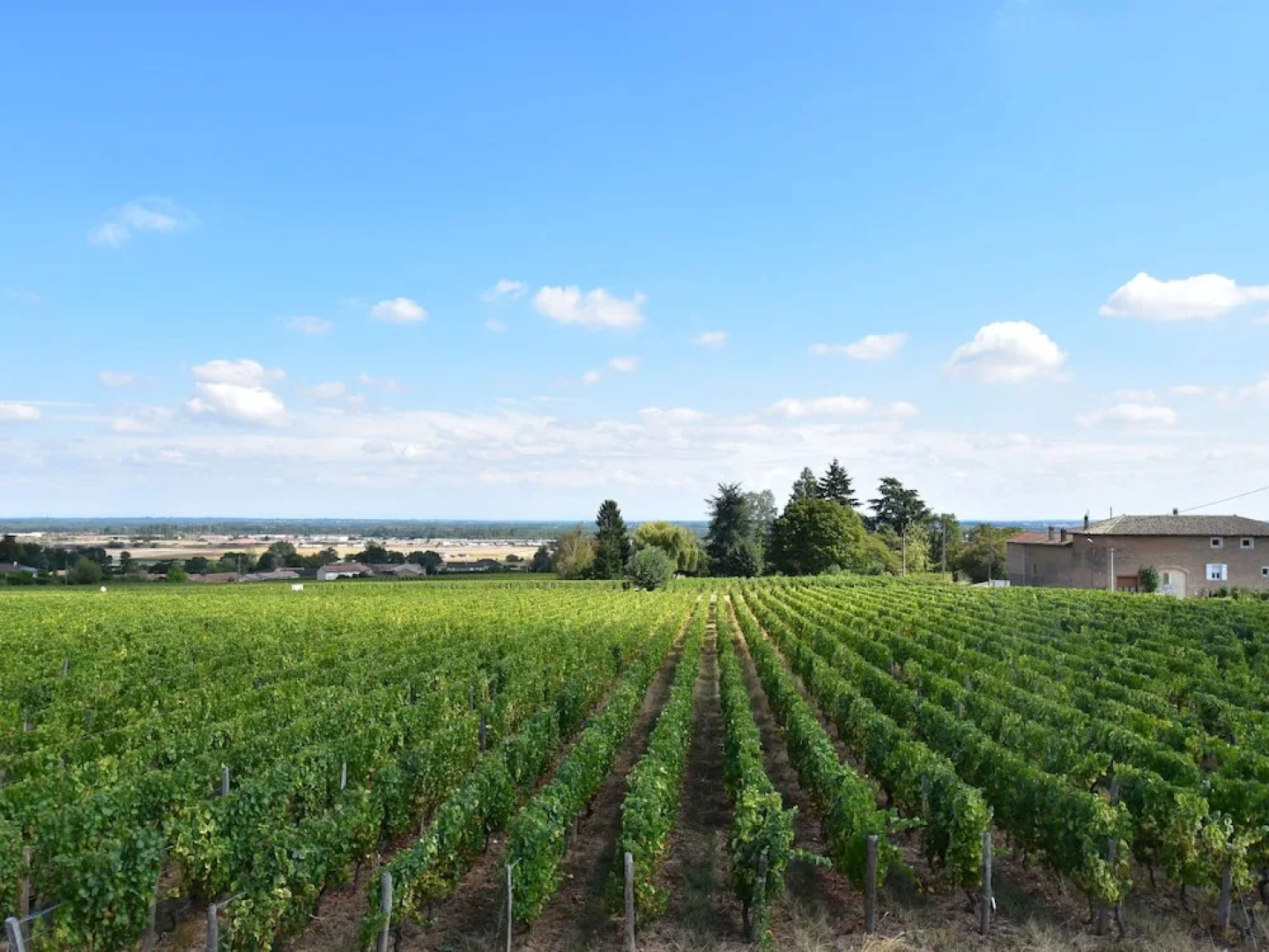 Spacious Mansion in Vinzelles With Swimming Pool