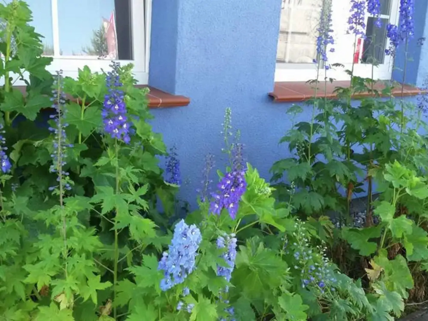 Delightful Apartment in Pruchten near Zingst Sea