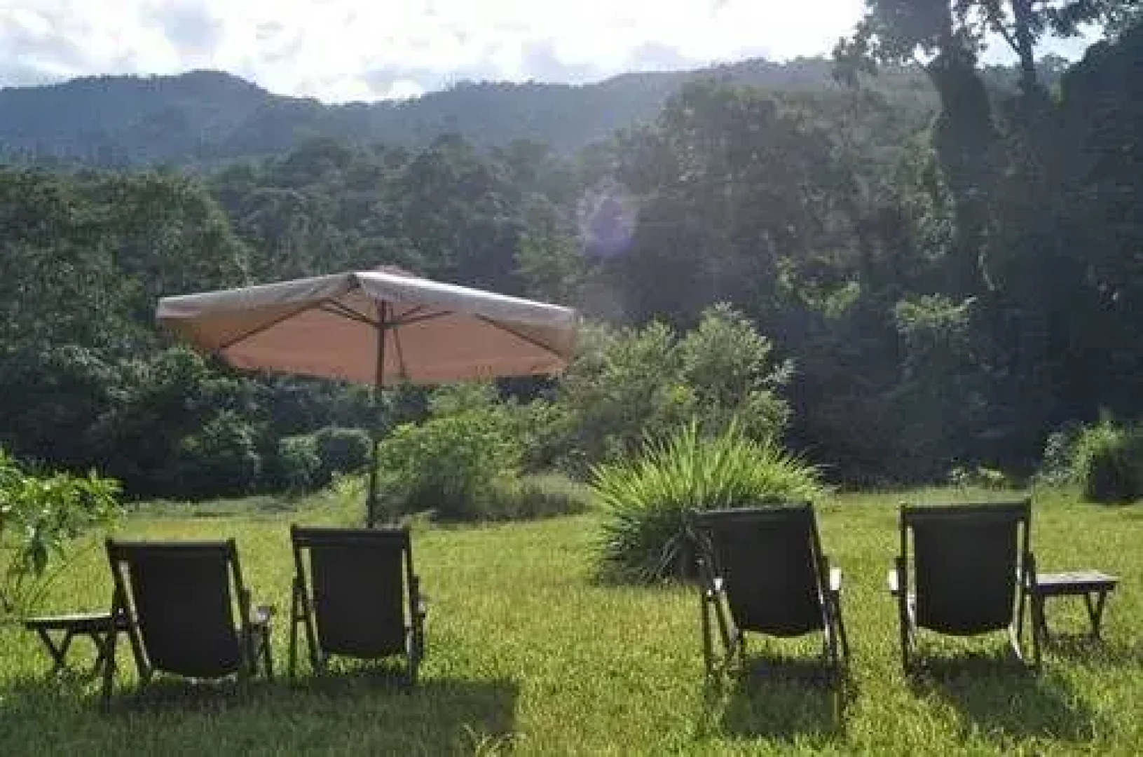 Udzungwa Forest Tented Camp
