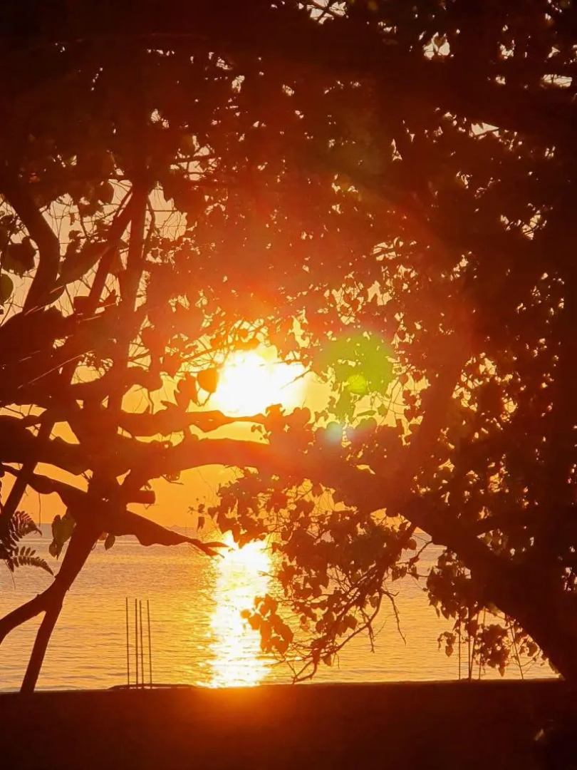 Berakit Bay Resort