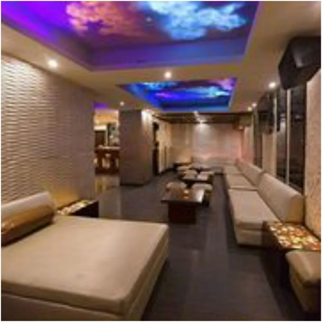 Hotel Hindusthan International