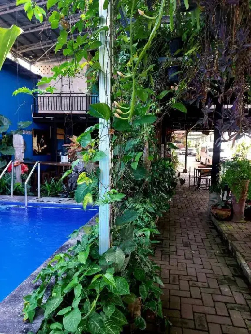 RedDoorz near Desa Wisata Kasongan