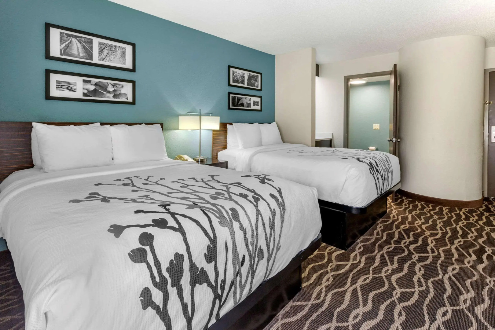 Sleep Inn Fayetteville I-95