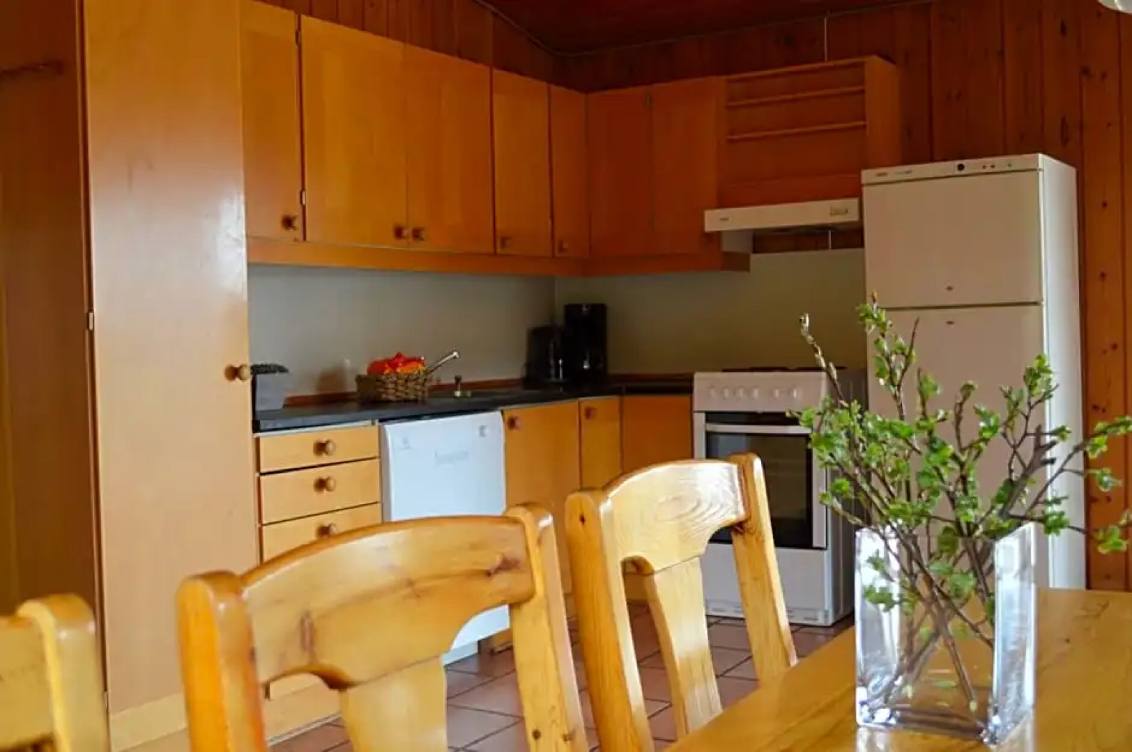 Nordseter Fjellpark, Hyttegrend