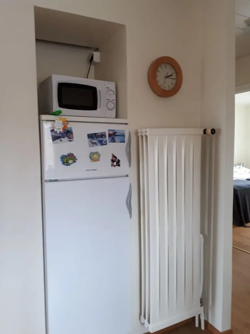 Brúnalaug Guesthouse Holiday Home