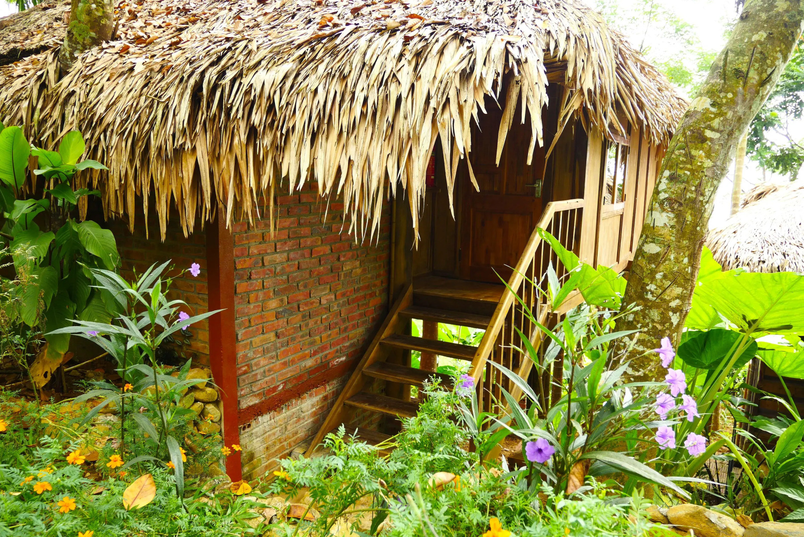 Puluong Home - Hostel