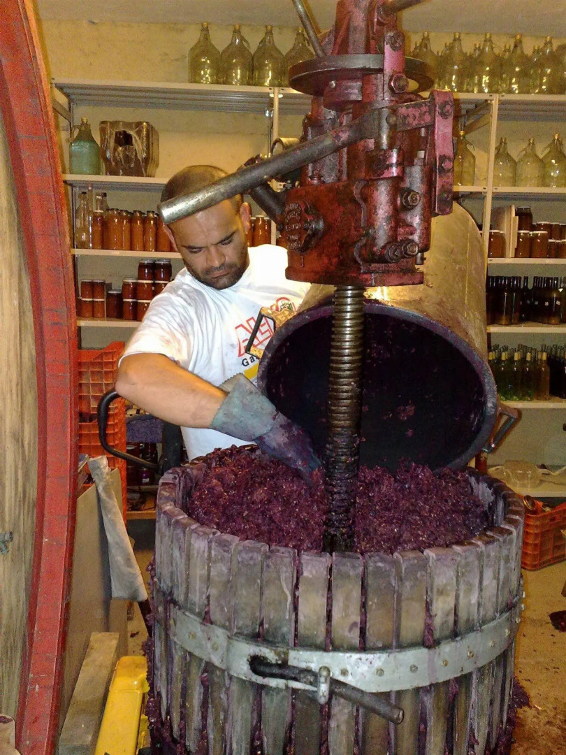 Agriturismo La Pietriccia