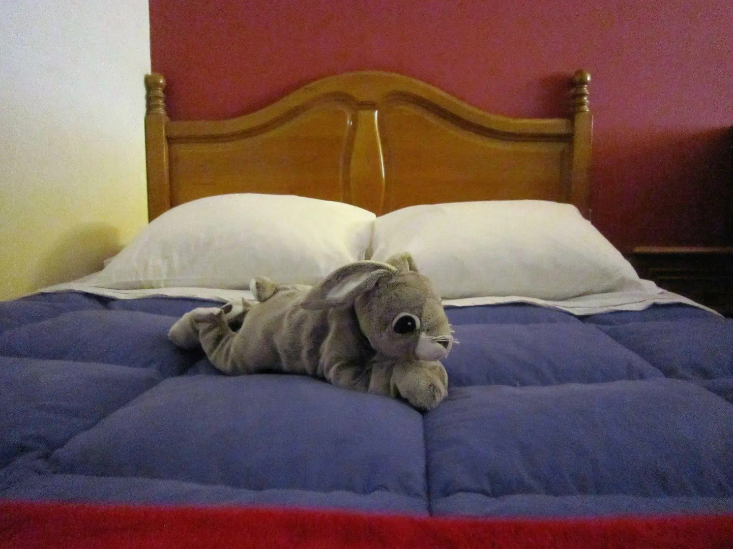 Viviendas Rurales la Fragua