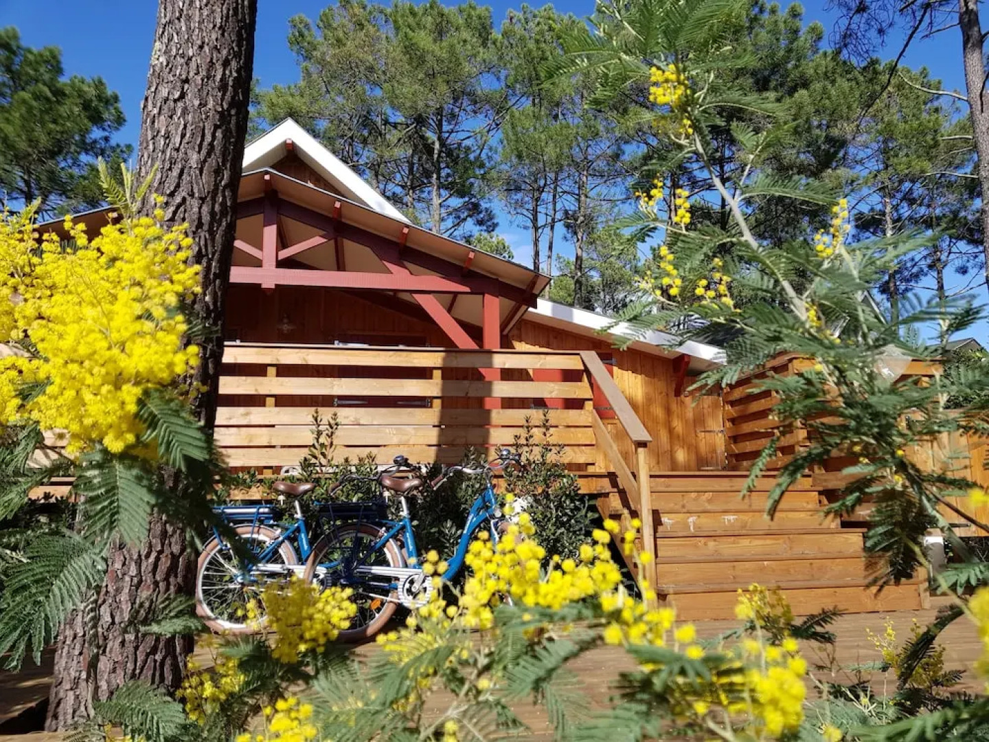 La Jenny, Naturist Resort