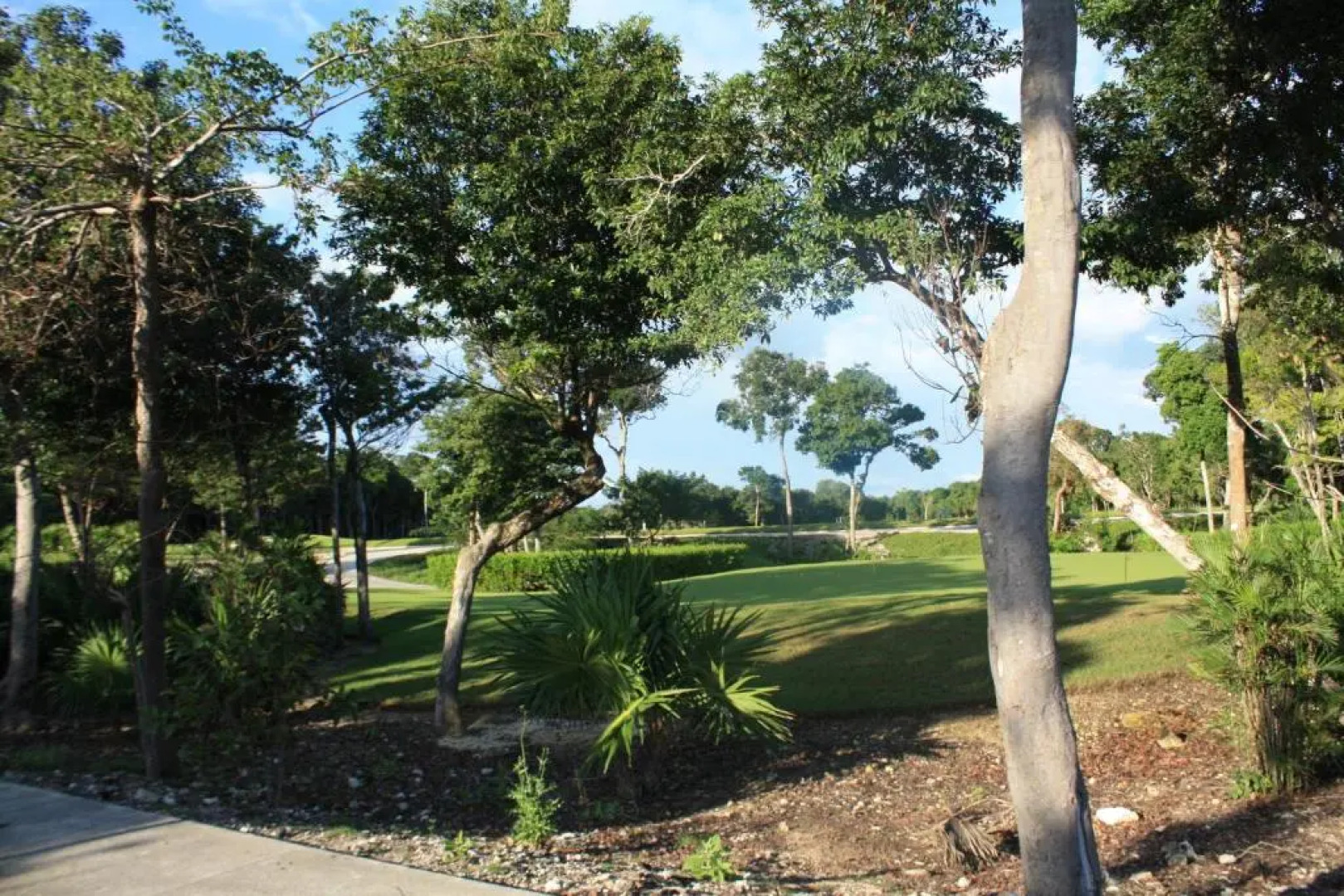 Charming Apartment within Bahia Principe 5*