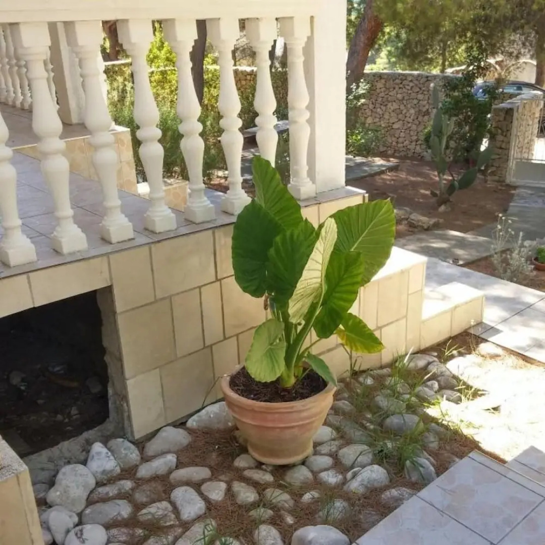 Eli - for Nature Lovers - A3