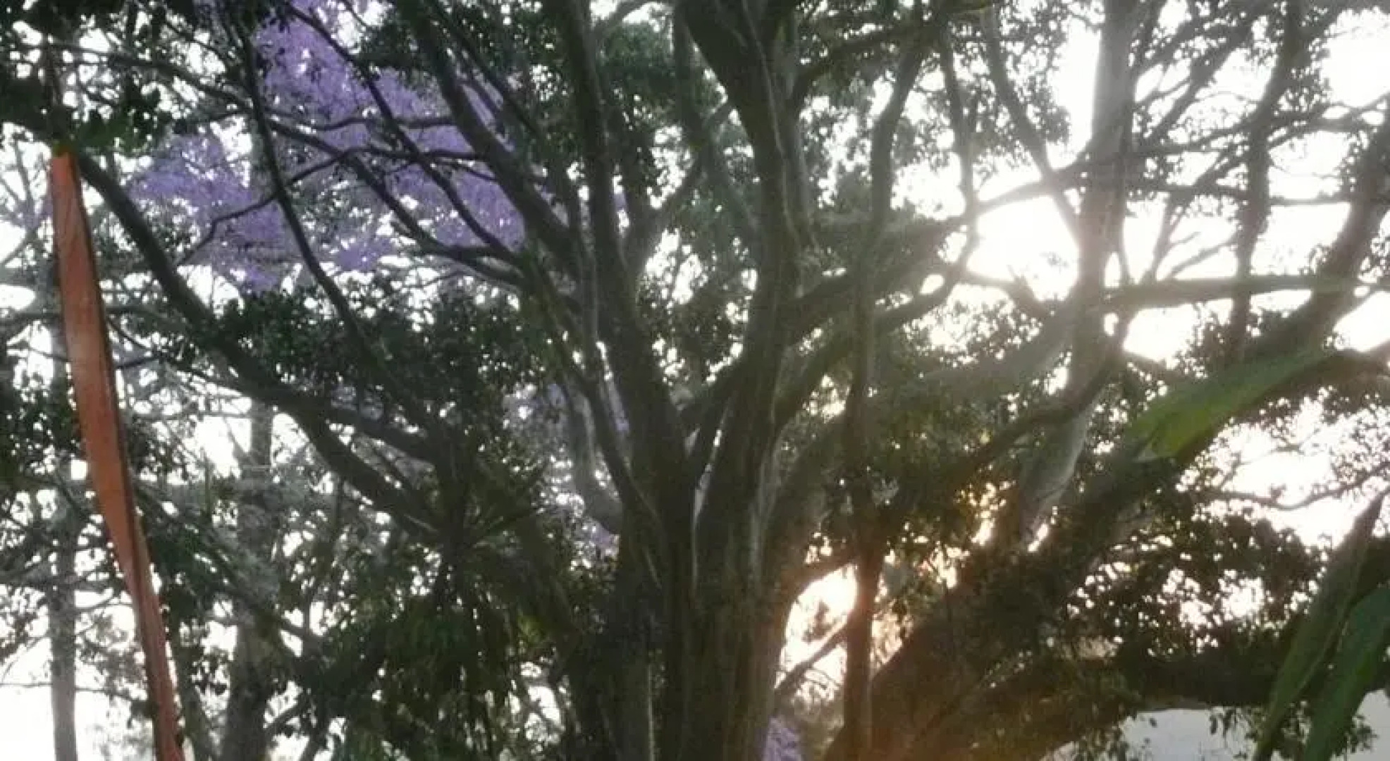 Netherby House B&B with River Cafe