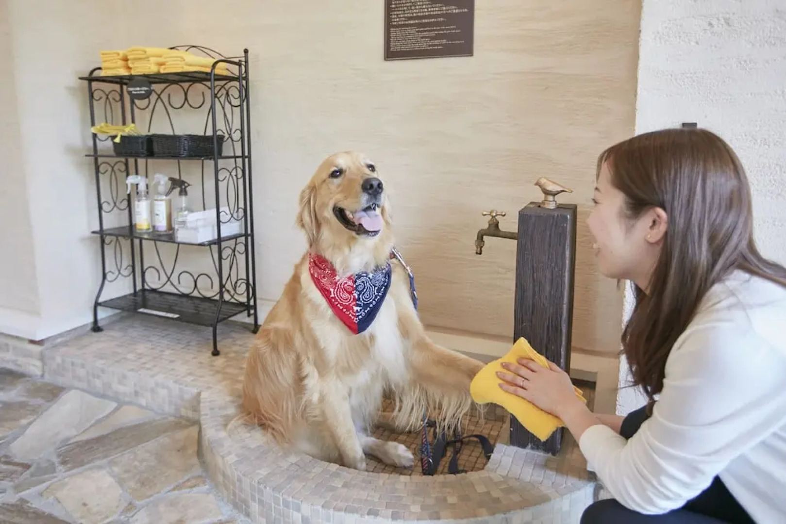 Le Chien Kyuu Karuizawa