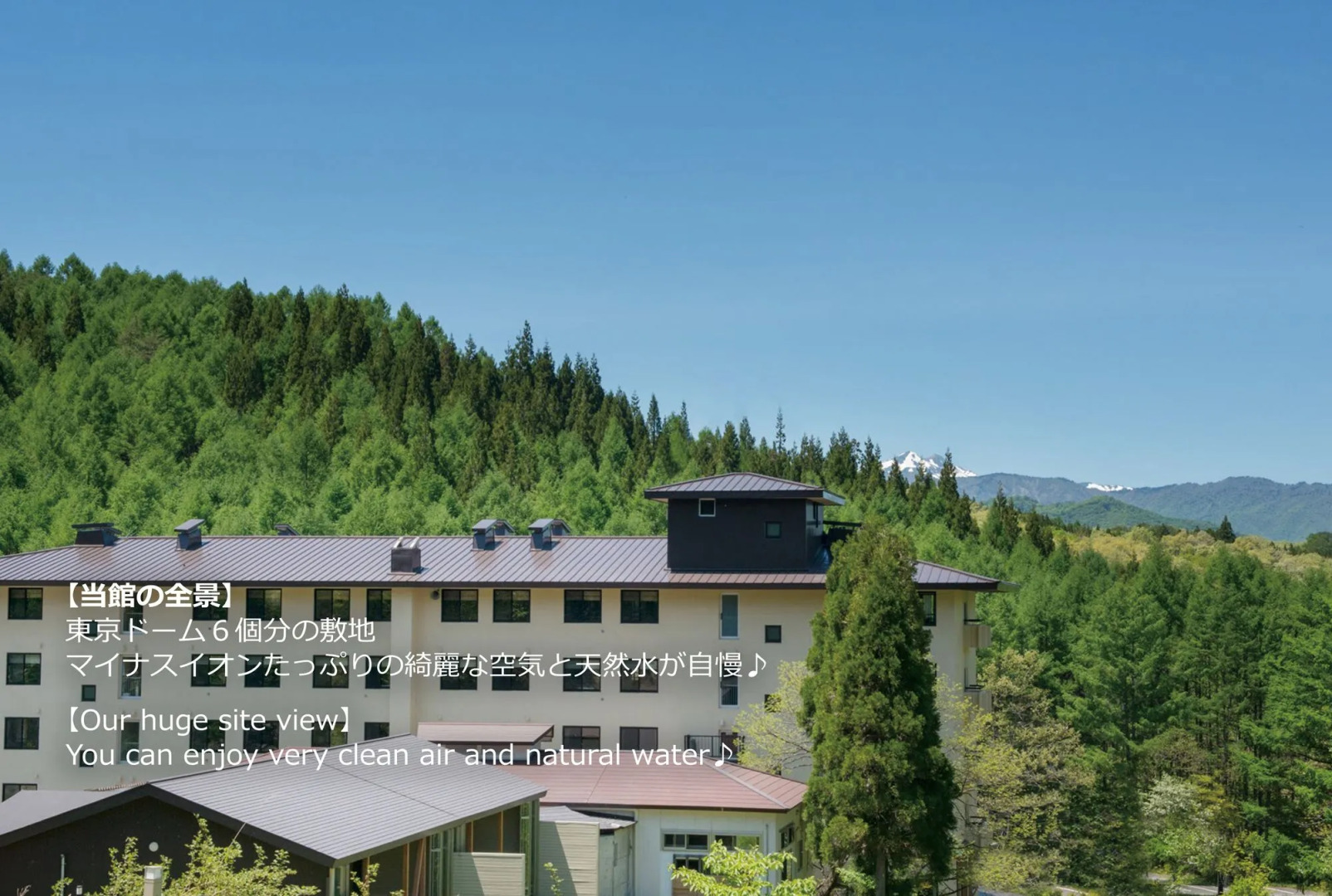 Hotel Ryu Resort and Spa