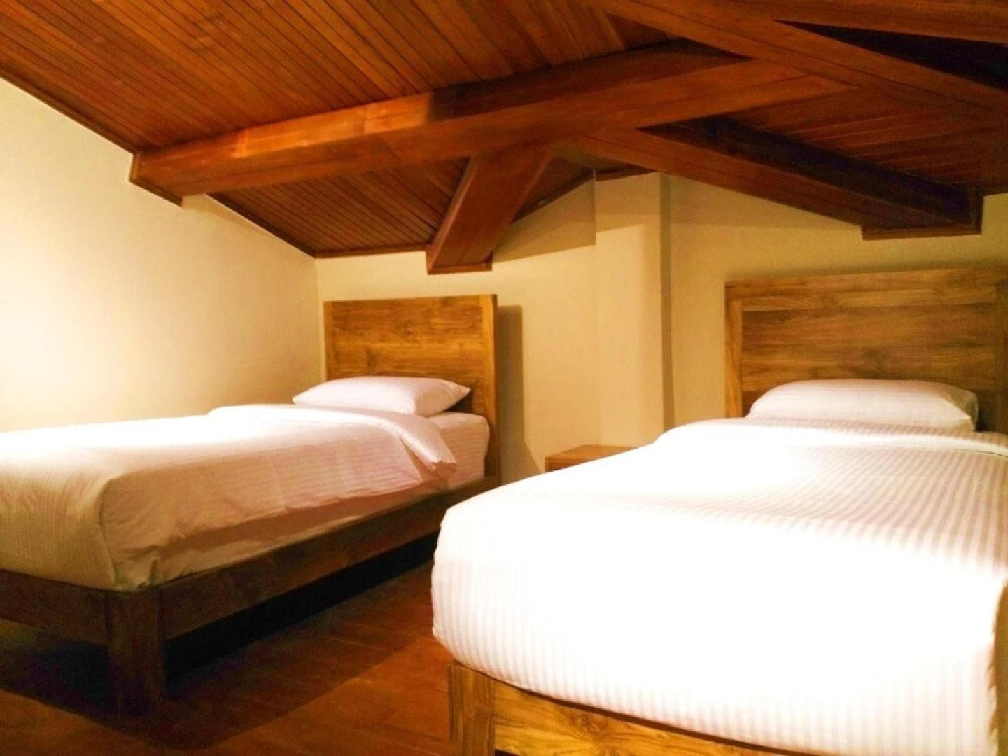 LOTUS Luxury Apartment