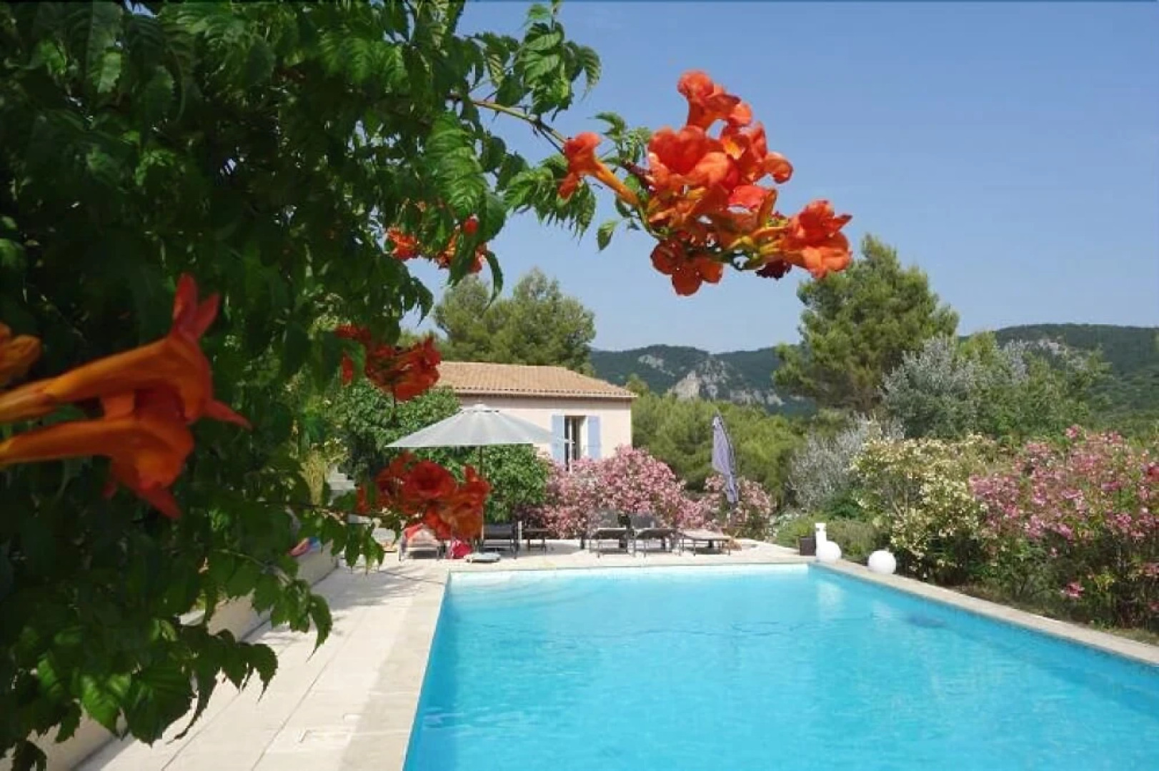 La Pinède du Barroux