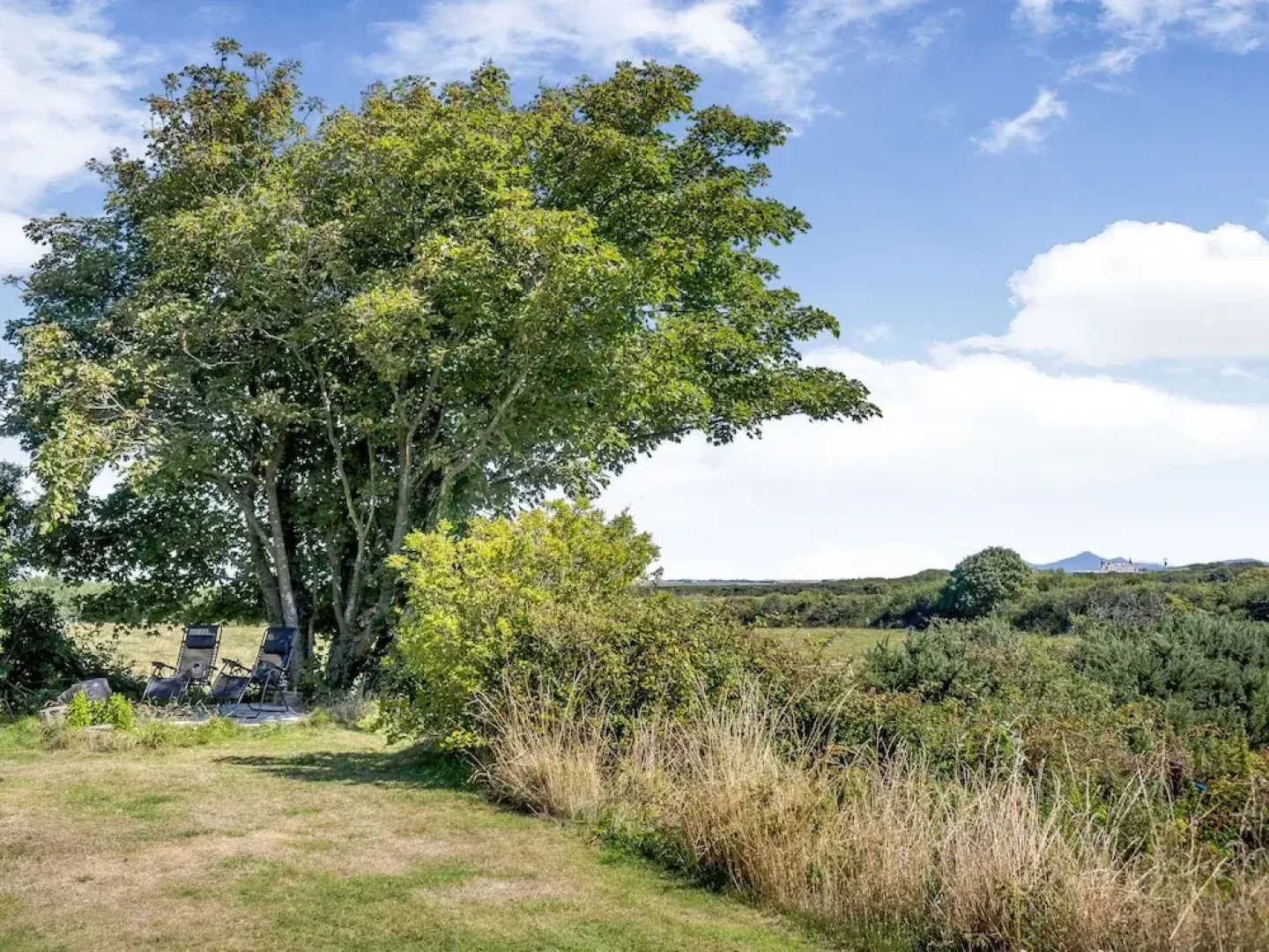 Tyn Morfa
