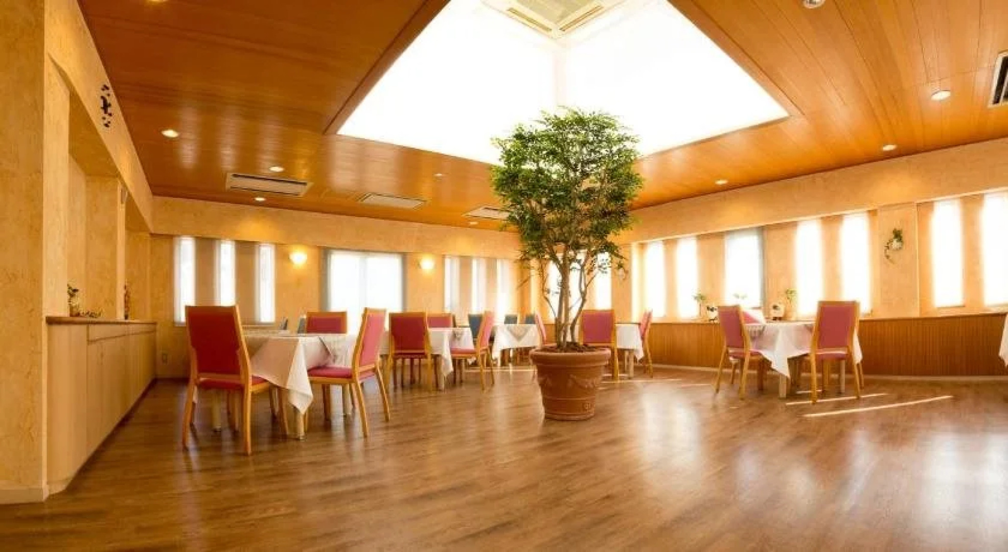 Caro Foresta Miurakaigan ARENA