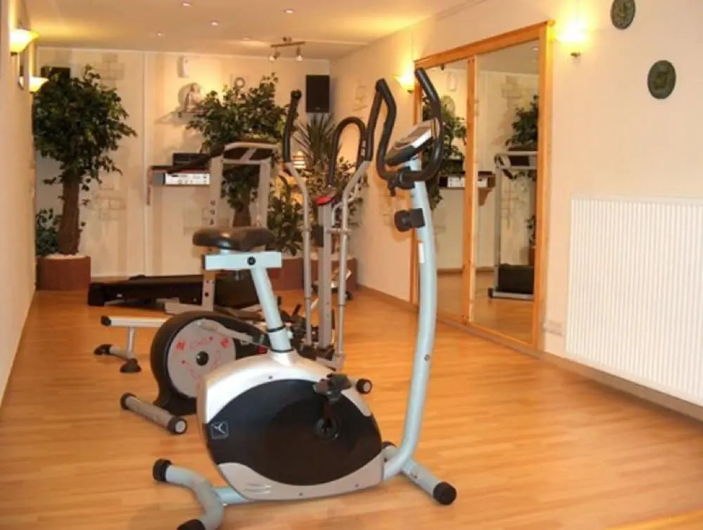 Hotel Schöneck Garni