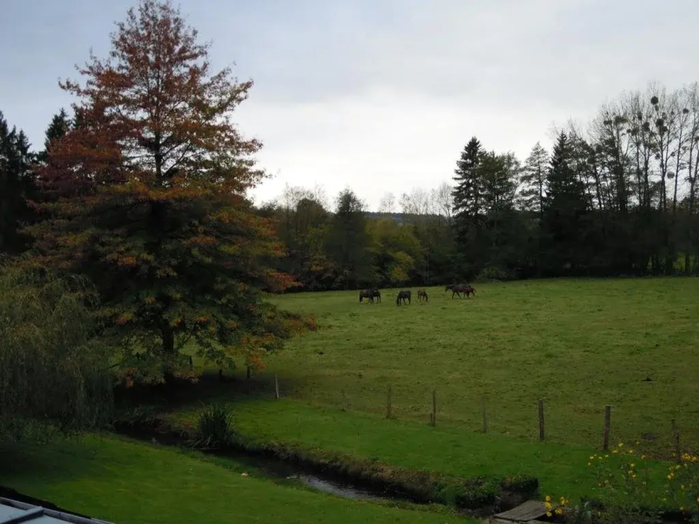 B&B Moulin De Revogne