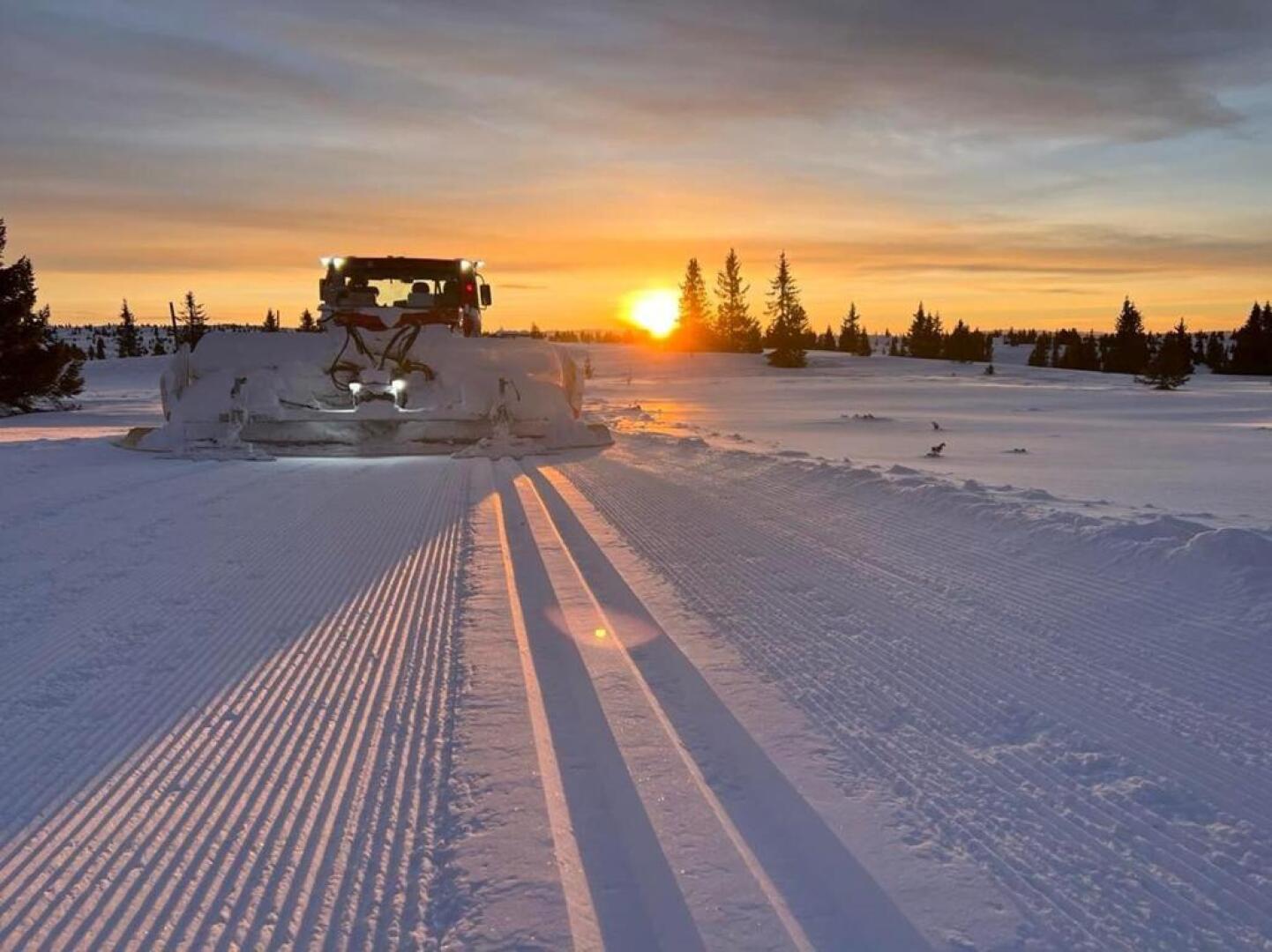 Golsfjellet - Bualie, milevis med sykkelveier, fiske og vannaktivitet, ski inn/ut til alpinanlegg og langrennsløyper.