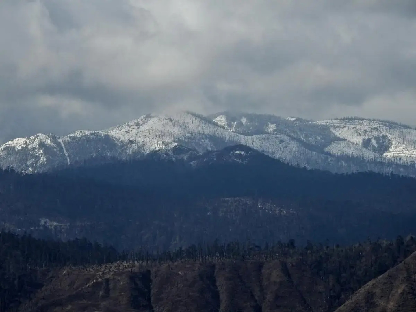 Pemaling Lords Inn Dirang