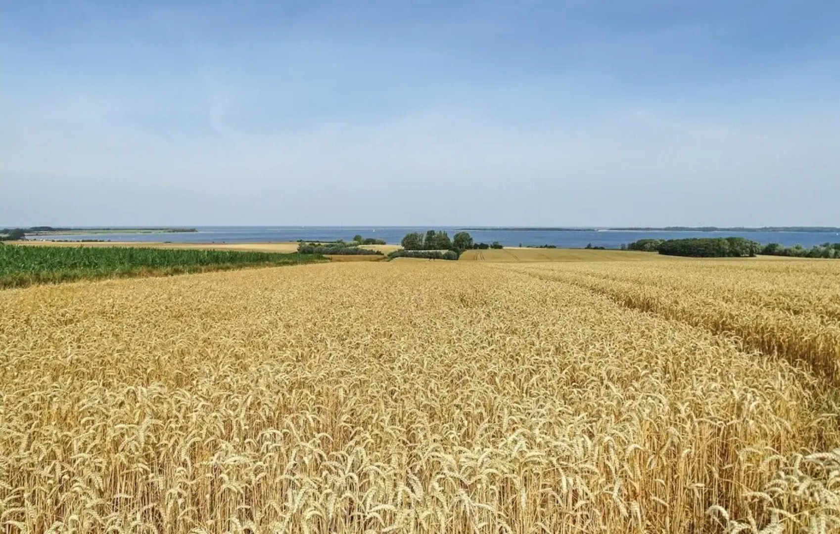 Awesome Apartment in Boiensdorf With 1 Bedrooms, Sauna and Wifi