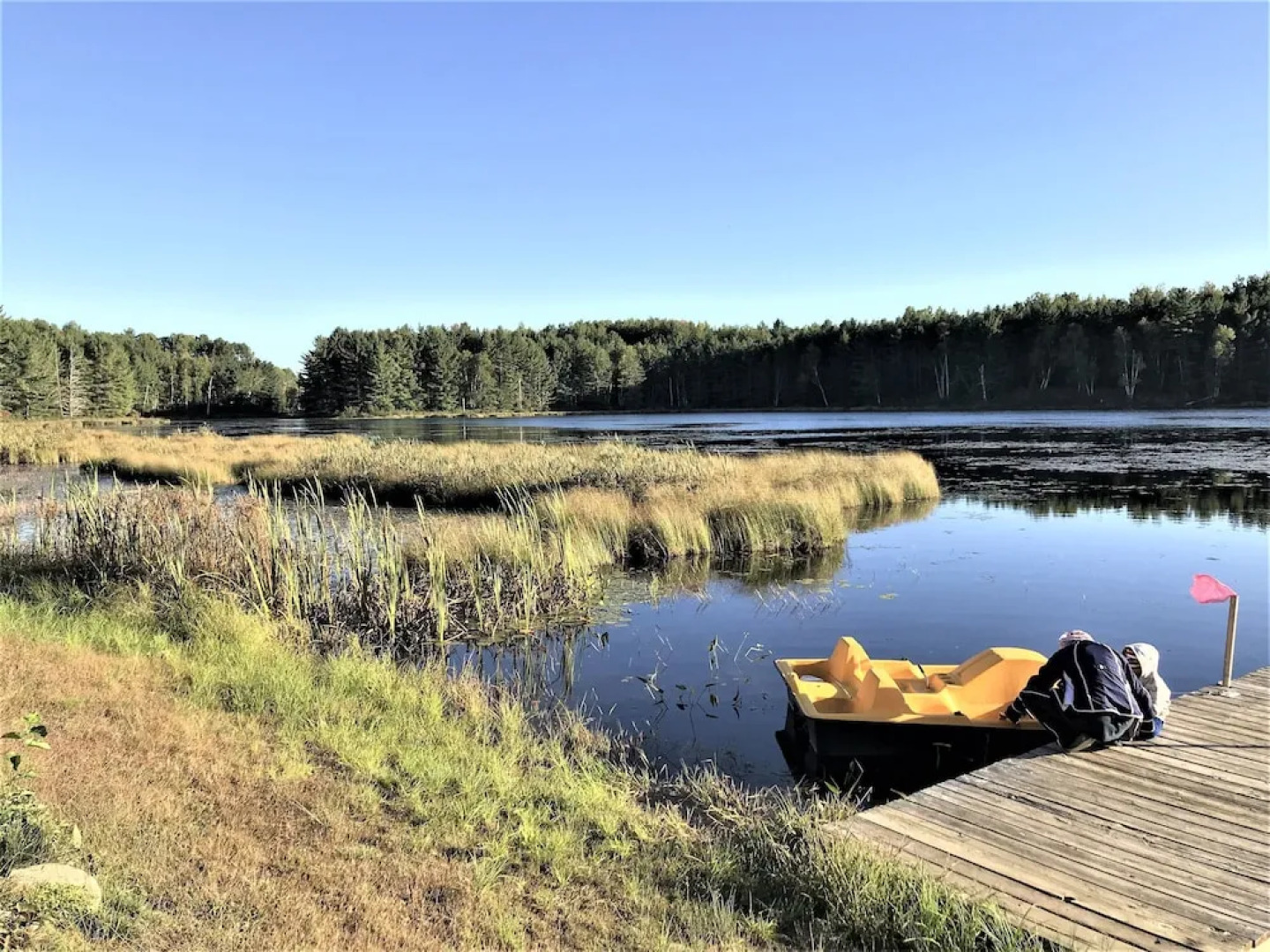 Hush Lodge & Cottages