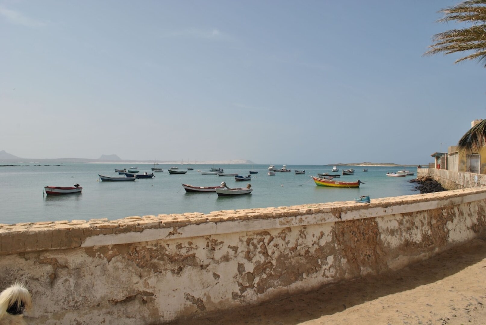 Casa Tud Dret - luxurious apartments